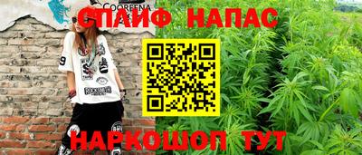 прущие грибы Славянск-на-Кубани