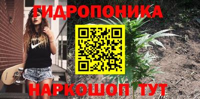 амф Северобайкальск