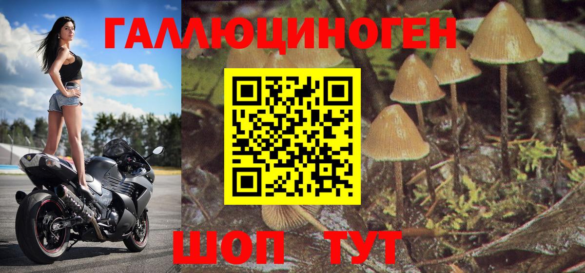 Саратов  Псилоцибиновые грибы мухоморы  Псилоцибиновые грибы Psilocybe  где можно купить наркотик  Вход с VPN 