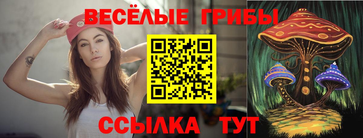 Галлюциногенные грибы прущие грибы Саратов